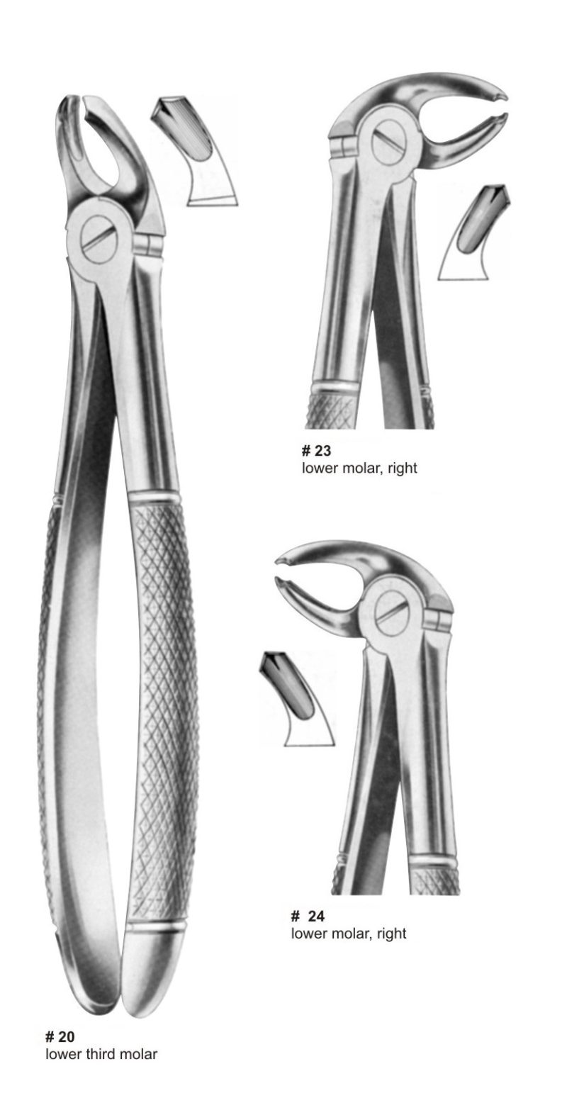 English Pattern